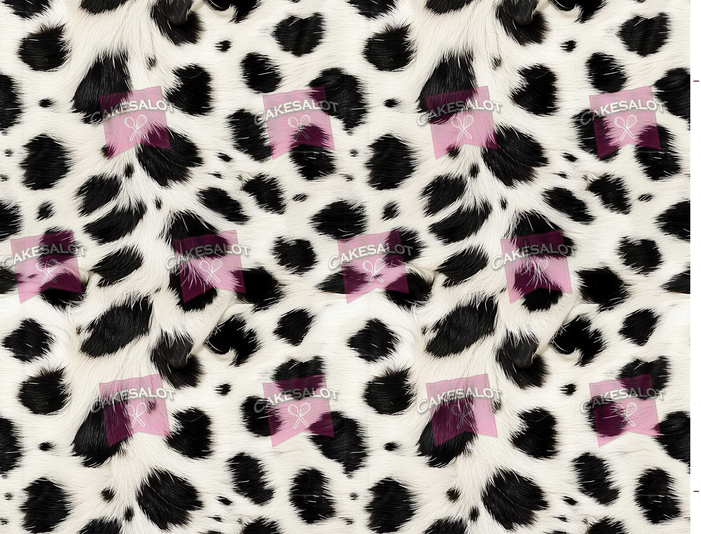 Dalmatian Dog Fur Look Edible Print Cake Wrap